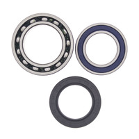 ALL BALLS RACING WHEEL BEARING KIT - 25-1011