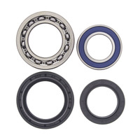 ALL BALLS RACING WHEEL BEARING KIT - 25-1012