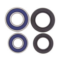 ALL BALLS RACING WHEEL BEARING KIT - 25-1042