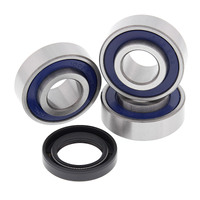 ALL BALLS RACING WHEEL BEARING KIT - 25-1366