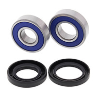 ALL BALLS RACING WHEEL BEARING KIT - 25-1566