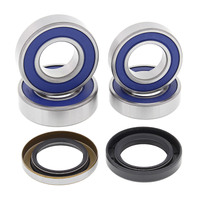 ALL BALLS RACING WHEEL BEARING KIT - 25-1673