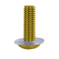 Oxford Screen Screws - Gold