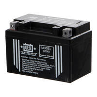 USPS AGM Battery - USX9