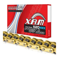 XAM 520NMX X-Ring Narrow Chain - Gold Gold 114L