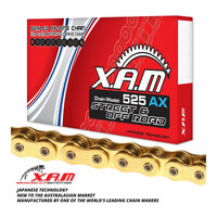 XAM 525AX X-Ring Chain - Gold Gold 108L