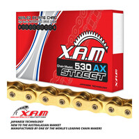 XAM 530AX X-Ring Chain - Gold Gold 108L