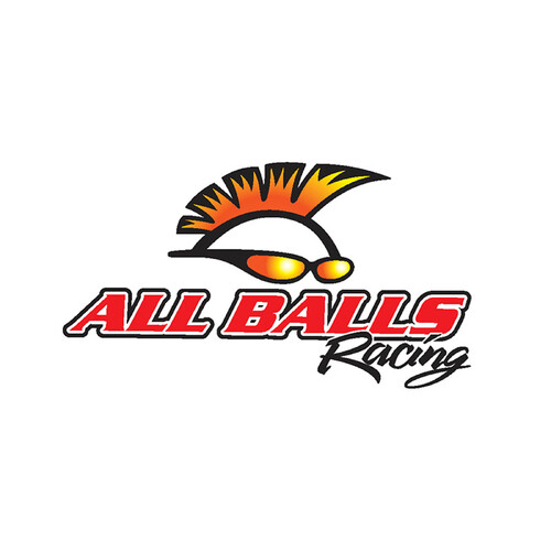 ALL BALLS RACING BEARING 6300 2RS - 10-35-11