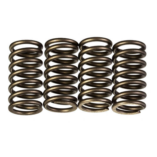 Premier Heavy Duty Clutch Springs - CSK204