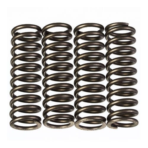 Premier Heavy Duty Clutch Springs - CSK209