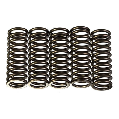 Premier Heavy Duty Clutch Springs - CSK215